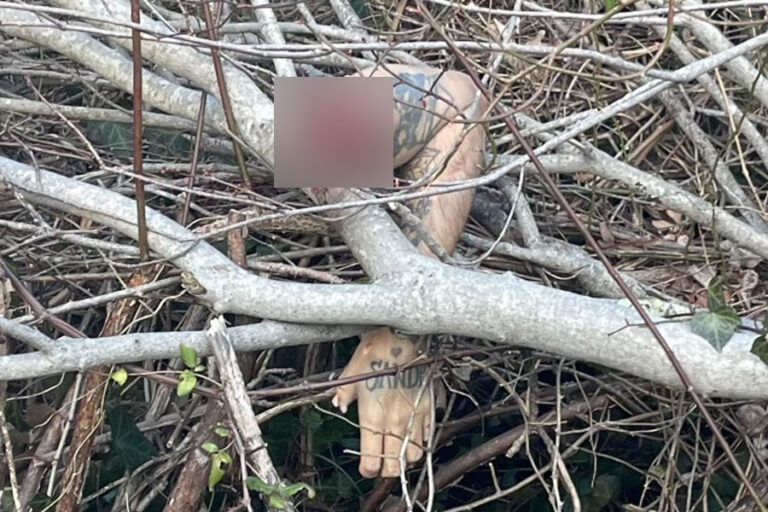 Tattooed Severed Arm Among Body Parts of Two People Found in Babylon ...