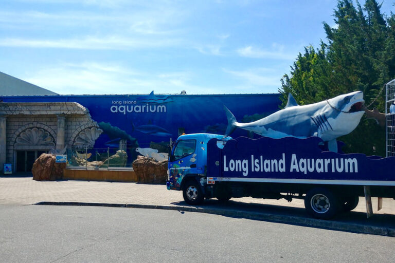 Long Island Aquarium Long Island Guide