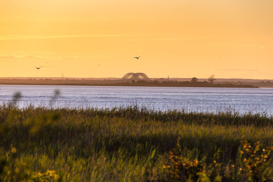 A tranquil view across the Great South Bay at sunset, with golden skies reflecting on the water and the Robert Moses Causeway bridge visible in the distance. Framed by coastal marsh grasses and seabirds in flight, the image captures the natural beauty and peaceful atmosphere that define Long Island’s South Shore bayfront.