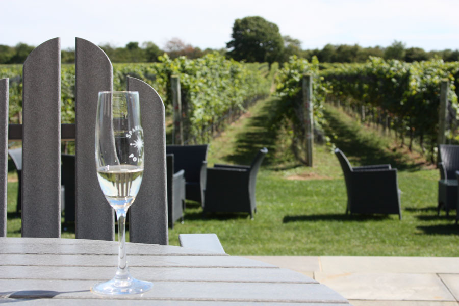 Whether you’re planning a laid-back day of vineyard hopping on the North Fork or a stylish escape in the Hamptons on the South Fork, Long Island wine country has something to offer every traveler. File photo: Photo Pat, licensed.