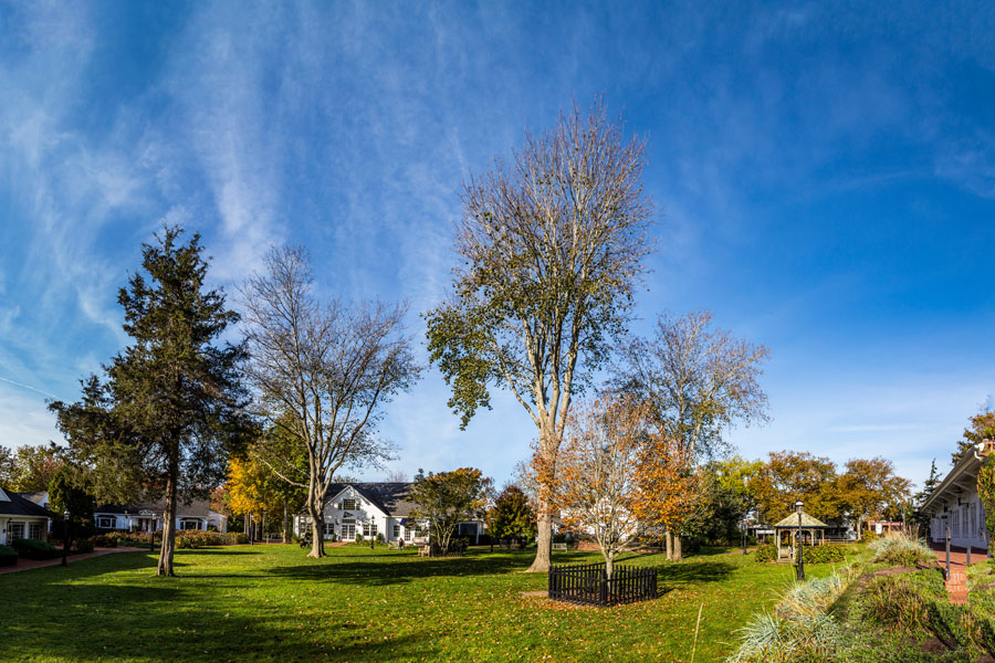 Panoramic view of charming homes surrounded by autumn trees in Amagansett, a small village in the Hamptons on Long Island’s East End. The peaceful setting, open green space, and historic houses reflect Amagansett’s unique blend of rural beauty and coastal village life, making it a quintessential destination in the heart of the Hamptons.