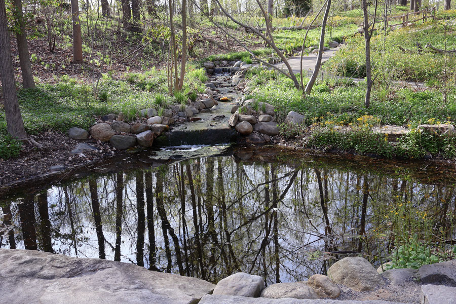 Pond at Avalon Nature Preserve on Long Island