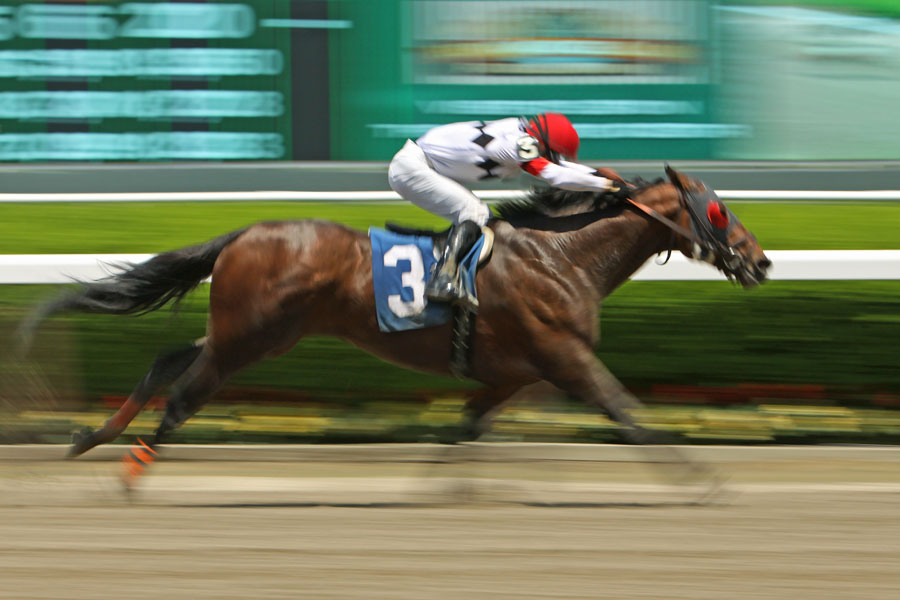 Belmont Park