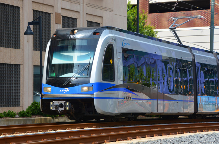 Charlotte Lynx Blue Line
