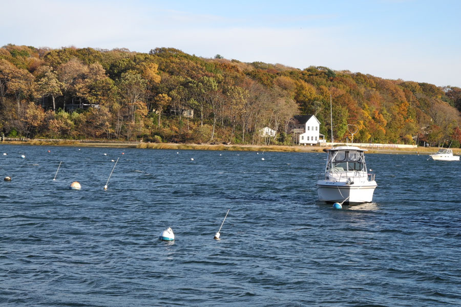 
A calm afternoon view of Centerport Harbor, with boats moored offshore and the autumn colors of Long Island’s North Shore in the background. The quiet shoreline at Centerport Beach provides a peaceful escape, often dotted with seagulls and coastal wildlife. 