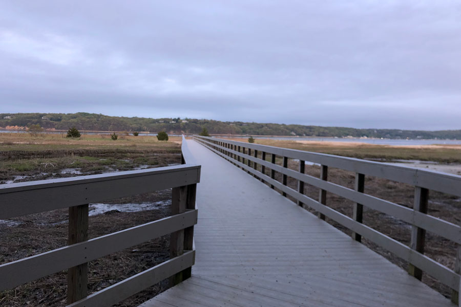 A wooden boardwalk stretches across the salt marshes at Sagamore Hill, inviting visitors to discover Cove Neck’s unspoiled shoreline. This peaceful pathway offers sweeping views of Oyster Bay, a setting that inspired President Theodore Roosevelt during his years here. The boardwalk is part of the Sagamore Hill National Historic Site, connecting history with the natural beauty of Long Island’s North Shore. Wildlife, tidal wetlands, and quiet moments by the water make this spot a hidden gem for nature lovers and history enthusiasts alike.