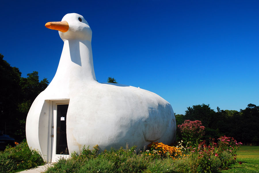 The Big Duck, a famous roadside attraction in Riverhead, Long Island, New York, photographed on July 27. Built in 1931, this duck-shaped building once served as a shop for selling ducks and duck eggs and is now a historic landmark surrounded by seasonal flowers.