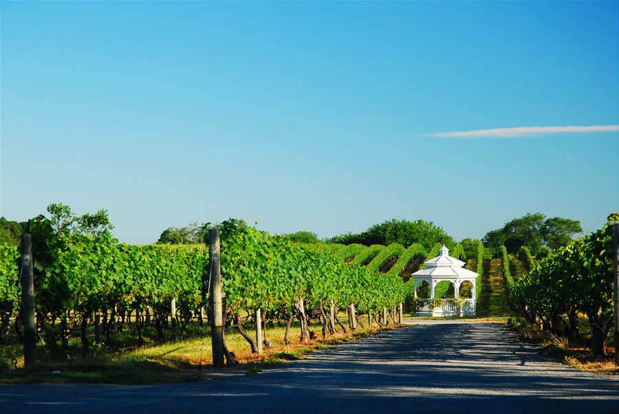  North Fork Wine Country