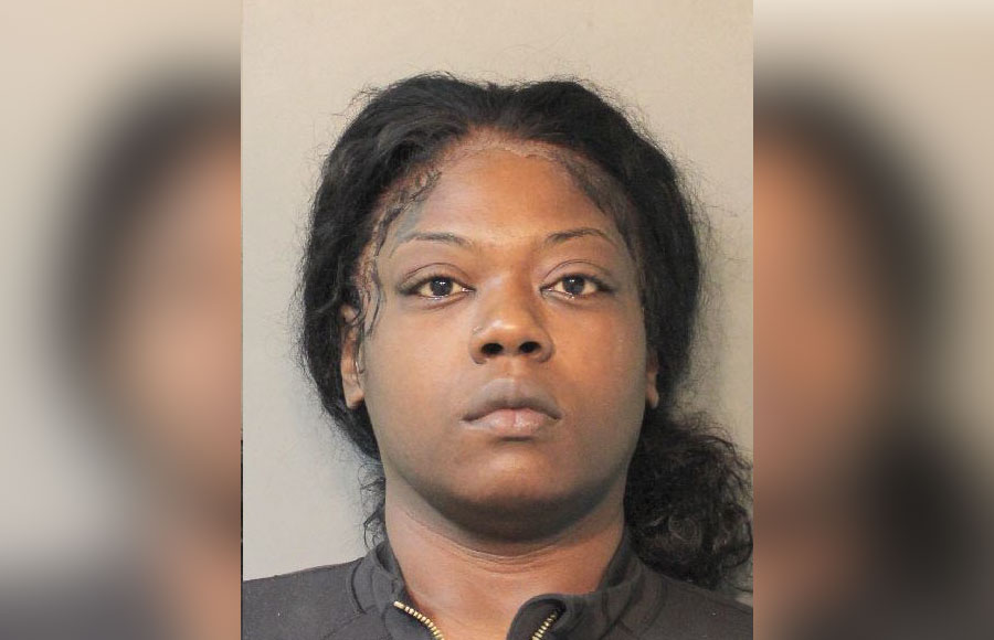 Mugshot of 26-year-old Shaquanna Gibbs of Roosevelt, charged with assault, criminal possession of stolen property, and multiple traffic violations after an incident at Roosevelt Field Mall. Police did not release a booking photo of her co-defendant, 28-year-old Kyla Mason of Hempstead, who was issued an appearance ticket.