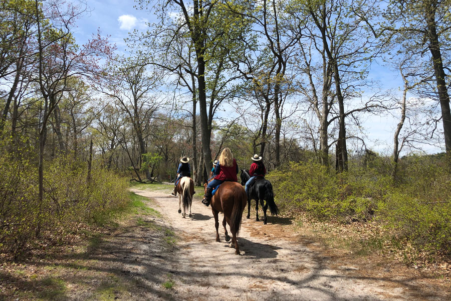 questrian trails are available, and the park provides a unique opportunity for riders to experience Long Island’s preserved landscapes.