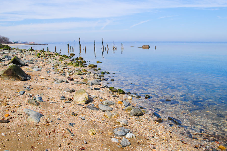 A rocky shoreline at Sands Point, Long Island, showcases the calm and crystal-clear waters of the Long Island Sound. Smooth stones, shells, and moss-covered rocks scatter the beach, reflecting the natural beauty of the North Shore. In the distance, weathered wooden pilings rise from the water, adding a rustic charm to this serene coastal setting. 