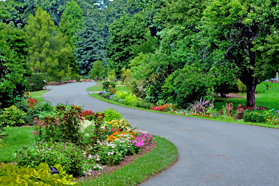 Curved garden walkway surrounded by vibrant flowers, shrubs, and tall trees inside Clark Botanical Garden in Albertson, New York, on a bright summer day.