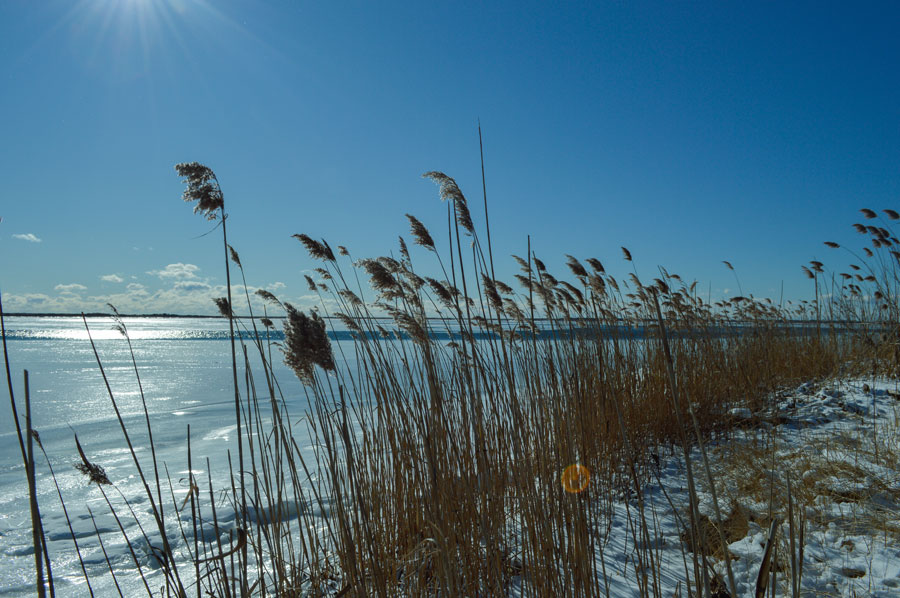 Scenic waterfront view of Mastic Beach, New York, showing calm bay waters, coastal homes, and lush greenery along the Great South Bay on Long Island’s South Shore.