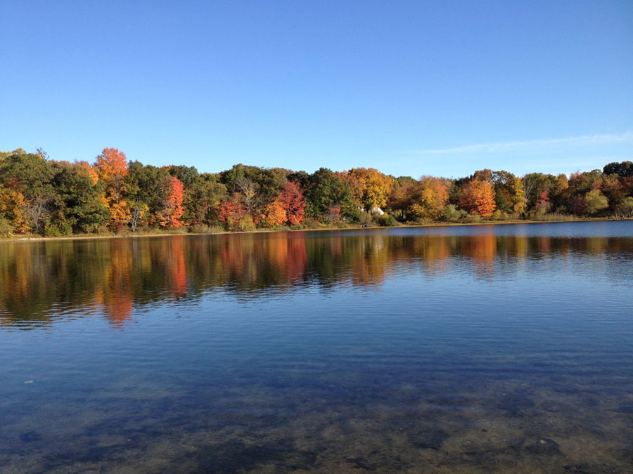 Brilliant autumn foliage reflects off the calm waters of Artist Lake in Middle Island, New York, creating a picture-perfect seasonal scene. The vivid reds, oranges, and yellows of the trees stand in striking contrast to the deep blue sky and the glassy surface of the lake. This natural beauty spot is a hallmark of the area, drawing photographers, nature lovers, and visitors year-round, but especially during the fall when the landscape is at its most vibrant. 