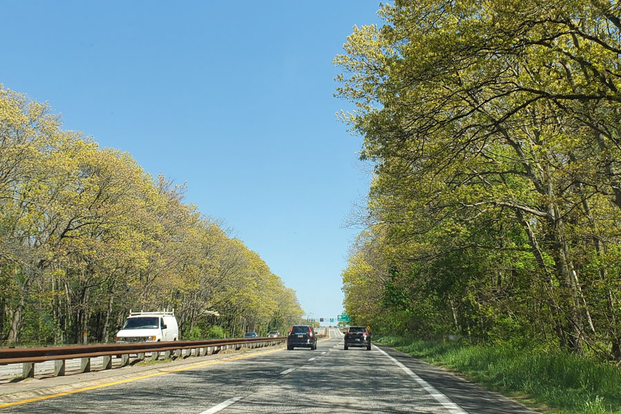 Seaford–Oyster Bay Expressway (NY-135) in Nassau County, Long Island, New York, lined with trees under a clear blue sky during spring