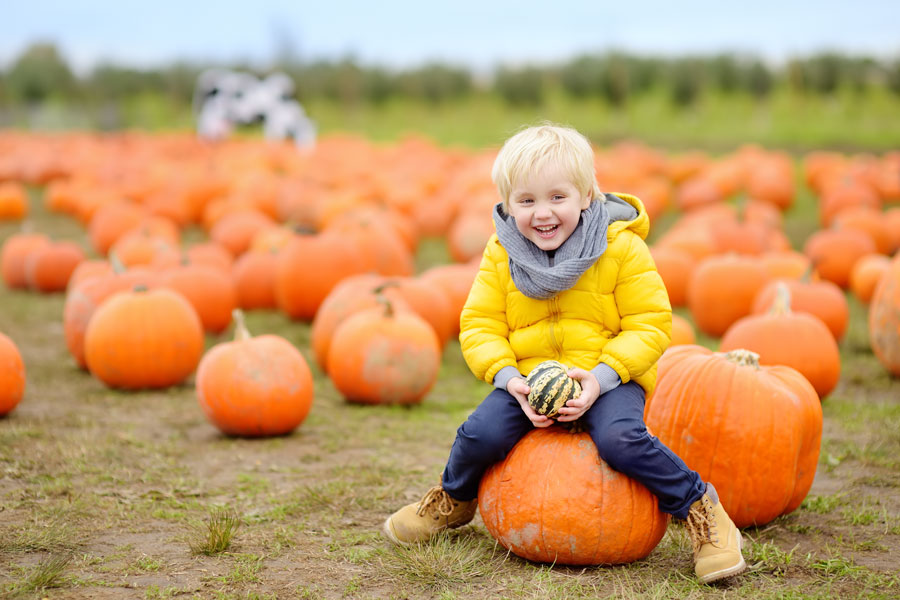 Child sitting on a pumpkin at Lenny Bruno Farms during the Great Pumpkin Palooza in Manorville, New York