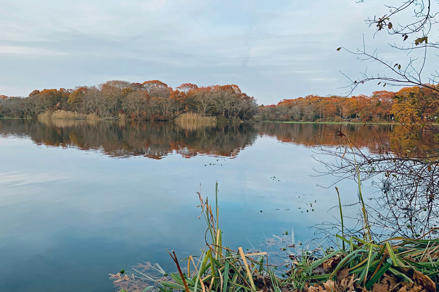 Beautiful scenic lake in the Massapequa Nature Preserve