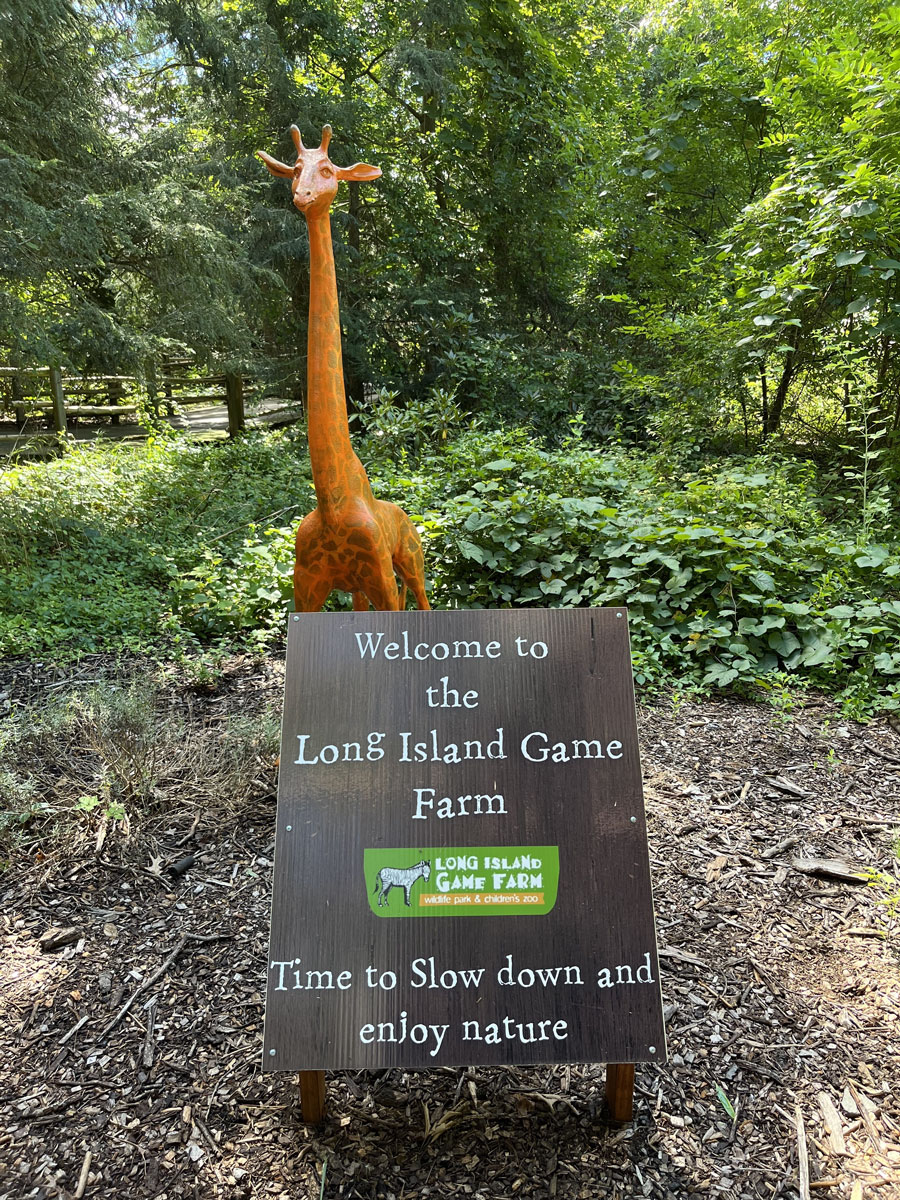 This photo, taken on July 30, 2023, shows a welcoming spot at the Long Island Game Farm Wildlife Park in Manorville, NY. A friendly giraffe statue peeks out playfully from behind lush greenery, creating a whimsical and inviting scene. In front, a wooden sign reads: