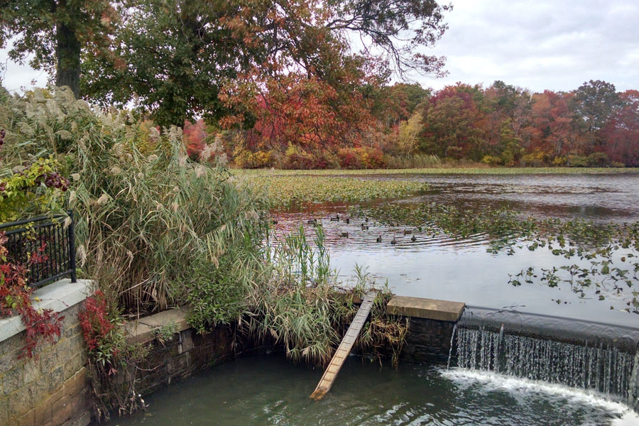 Autumn view of Mill Pond in Bellmore, NY, with vibrant fall trees, reeds, and a small waterfall flowing into the pond under a cloudy sky.