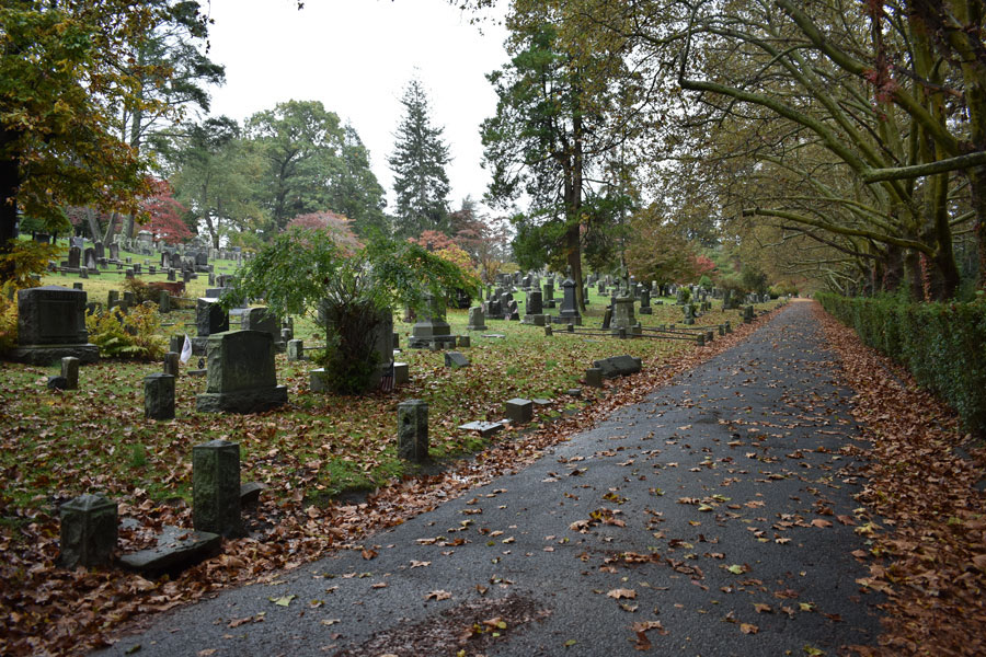 Old cemetery alongside a narrow wooded road in Melville, New York, covered in autumn leaves.