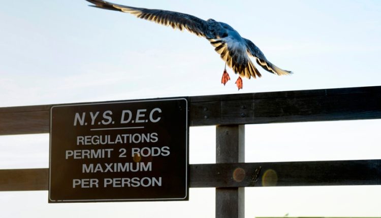 New York State beach regulation sign illustrating how beach and access rules vary across Long Island towns and jurisdictions
