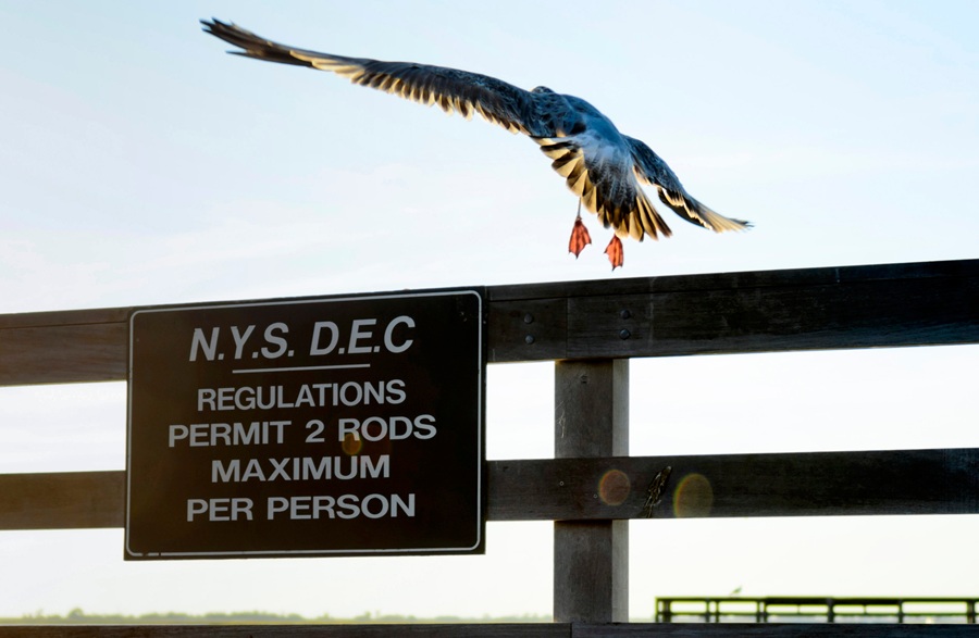 New York State beach regulation sign illustrating how beach and access rules vary across Long Island towns and jurisdictions
