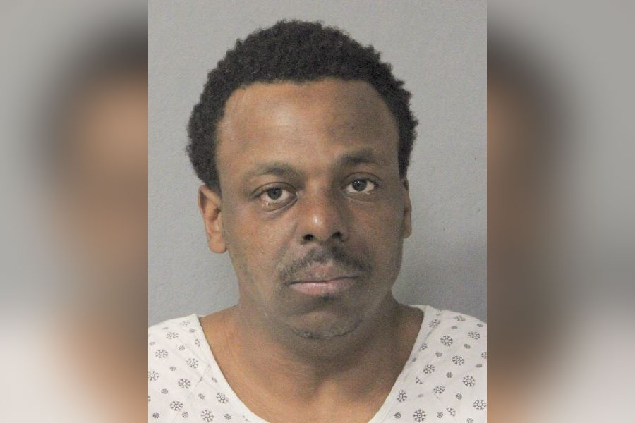 Booking photo of Reginald D. Williamson, described by police as undomiciled, following a stolen vehicle arrest in Baldwin, New York.