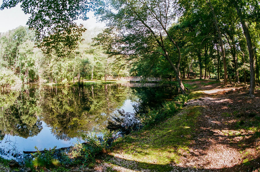 A quiet pond and wooded trail at Caleb Smith State Park Preserve in Smithtown, where quiet paths wind alongside reflective water and dense forest, offering a peaceful setting for walking and nature observation. File photo: licensed.