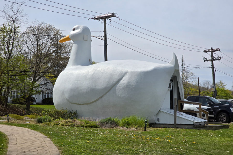 The Big Duck in Flanders, New York, a historic duck-shaped building that began as a 1930s farm stand and has since become one of Long Island’s most recognizable roadside landmarks. Now preserved as a cultural icon, it reflects the region’s agricultural heritage and its unique place in American roadside architecture.