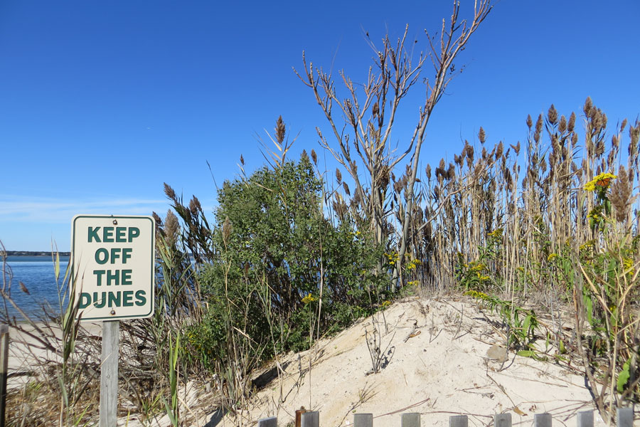 A Keep Off the Dunes sign stands along the sandy shoreline at Shinnecock East County Park, highlighting the importance of protecting fragile coastal environments found throughout Long Island’s South Fork. Scenes like this reflect the same natural conditions and conservation efforts present around nearby areas such as Napeague Harbor, where dunes, wetlands, and shoreline ecosystems play a vital role in preserving the region’s coastal landscape. 