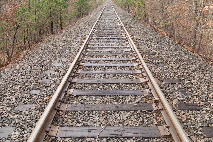 A stretch of railroad tracks cutting through a wooded area near Holtsville, New York, highlighting the region’s natural landscape and transportation corridors in central Suffolk County, Long Island.