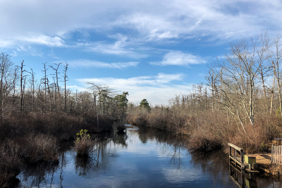 Cloud reflections shimmer along the Connetquot River inside Connetquot River State Park Preserve near Great River and Oakdale, showcasing one of Long Island’s most peaceful and naturally preserved South Shore landscapes.