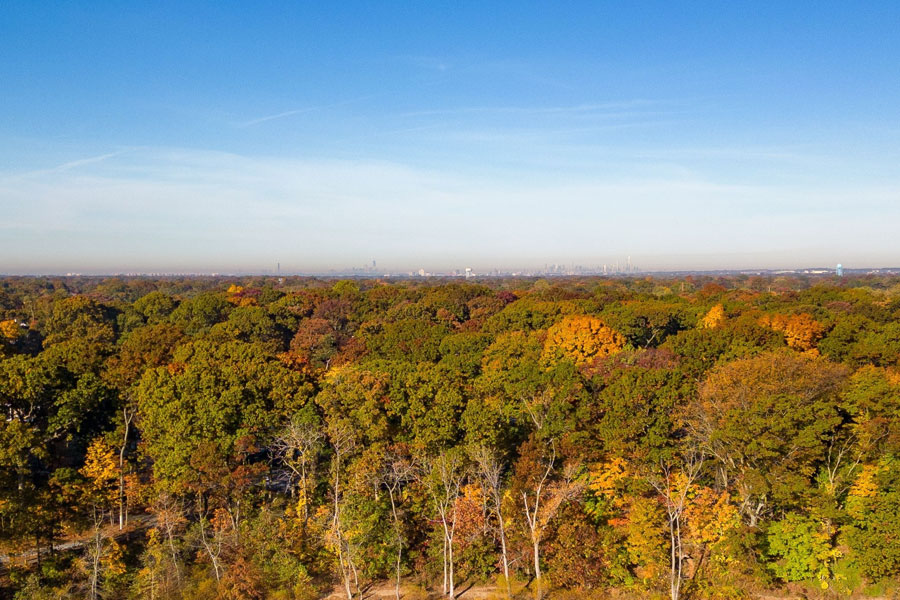 Aerial autumn view overlooking the tree canopy of central Nassau County on Long Island, representing the region once occupied by the historic Hempstead Plains grassland ecosystem.