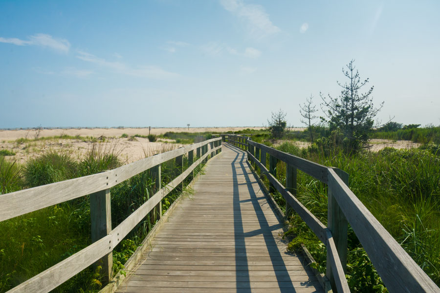 A wooden boardwalk winds through the dunes near Ocean Ridge on Fire Island, offering beach access and scenic views of the island’s protected coastal landscape. File photo: licensed.