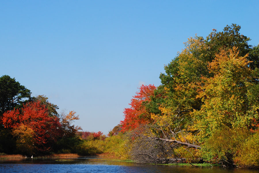 Autumn colors line the Peconic River along Long Island’s North Fork, where calm waterways, wooded shorelines, and seasonal foliage create one of the East End’s most scenic natural landscapes. The river and surrounding wetlands are closely tied to the rural and coastal character that defines communities throughout the Peconic region.