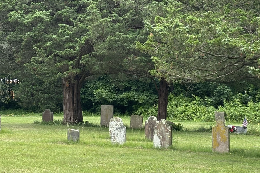 Weathered gravestones rest beneath tall cedar trees in Sagaponack, reflecting the South Fork village’s deep historical roots and quieter rural atmosphere. Small historic cemeteries like this can still be found throughout the Hamptons, offering reminders of the area’s early farming and colonial-era communities.