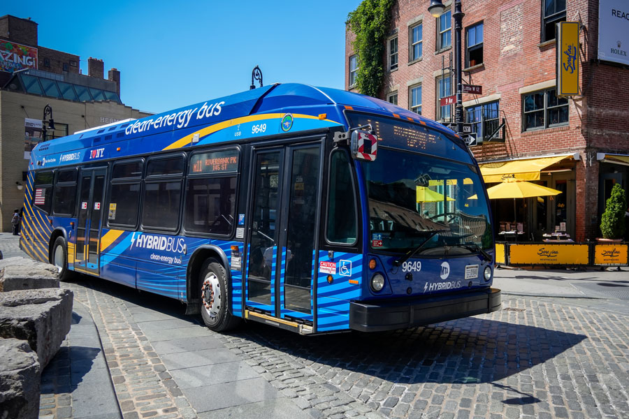 Bus Transportation