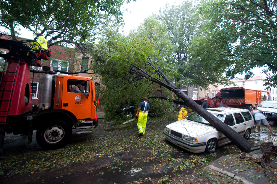 Cleanup crews work to remove a large tree that fell onto parked vehicles during Hurricane Irene in 2011. Across Long Island and the Northeast, strong winds and saturated ground conditions caused widespread tree damage, road closures, and power outages. The storm served as a warning of the region's vulnerability to tropical weather systems just one year before Hurricane Sandy struck the area.