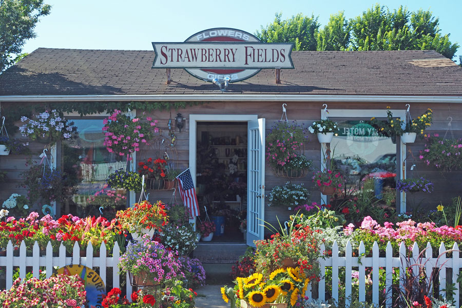Strawberry Fields is a colorful flower and gift shop in Montauk that reflects the small-town charm and creative spirit found throughout the South Fork. Located along Main St. Old Montauk Highway in Montauk's historic business district, the shop is known for its vibrant seasonal flowers, garden displays, gifts, and locally inspired merchandise that attract both residents and visitors. Businesses like this help give Montauk its distinctive character, blending a relaxed beach-town atmosphere with the independent shops and local traditions that make the Hamptons more than just a resort destination.
