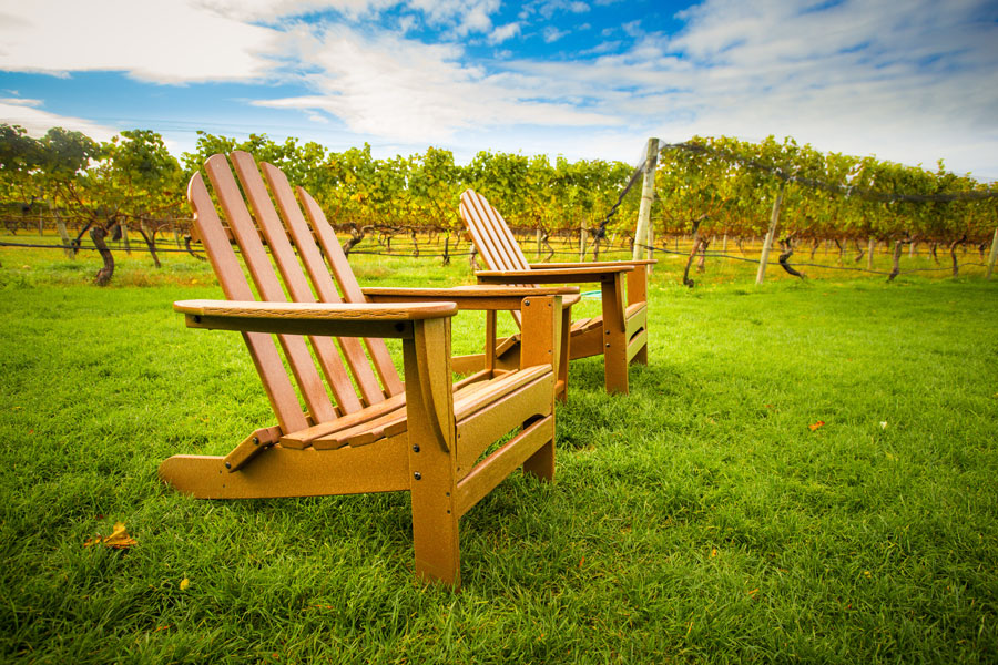Rows of grapevines stretch across a peaceful vineyard on the South Fork, where wine production has become an important part of the region’s agricultural and culinary identity. While the South Fork is best known for its beaches and Hamptons villages, vineyards such as Wölffer Estate and Channing Daughters have helped establish the area as a respected destination for wine tasting, farm-to-table dining, and rural tourism.