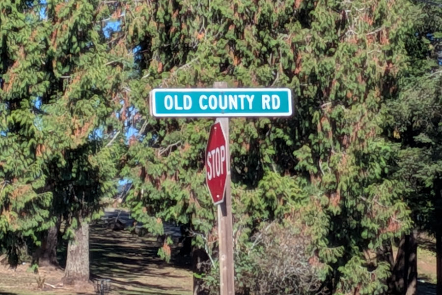 An Old County Road street sign stands along a tree-lined roadside. While roads bearing the "Old Country Road" name exist in many communities, Long Island's Old Country Road remains one of Nassau County's most important east-west transportation and commercial corridors.