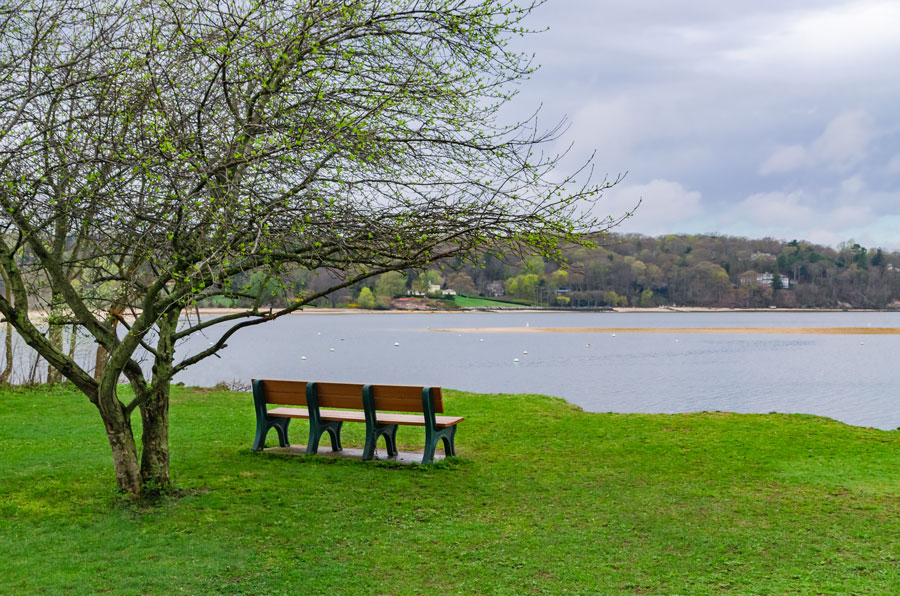 An empty bench beneath a budding tree overlooks the calm waters of Cold Spring Harbor from Cold Spring Harbor State Park. The peaceful setting reflects the scenic harbor views and natural beauty found within this wooded North Shore park.