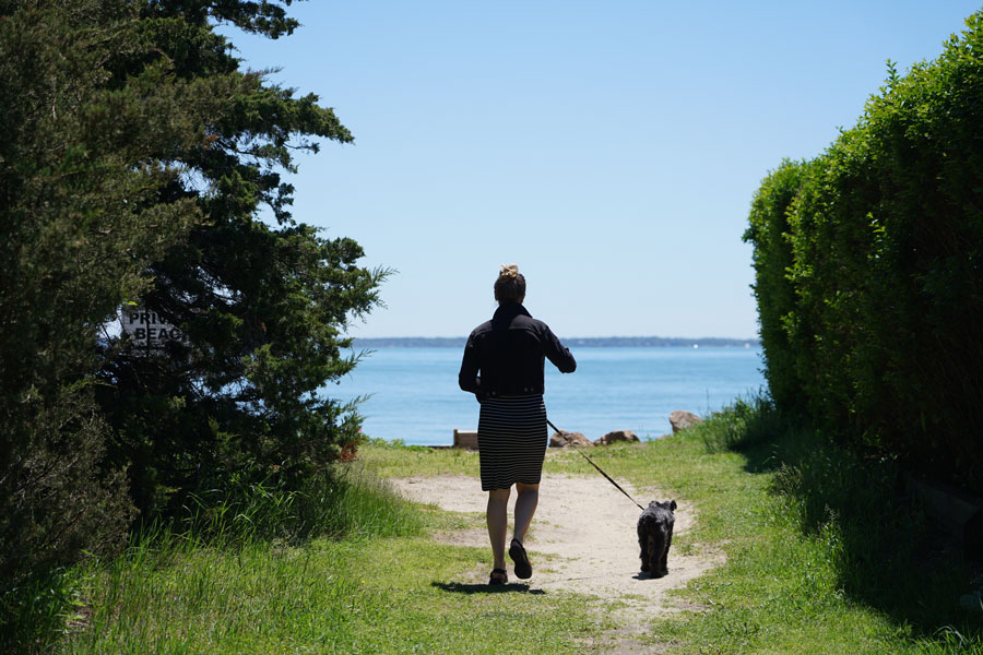 A visitor and a Black Schnauzer make their way toward a quiet beach in the Hamptons, where several shoreline parks welcome leashed dogs during designated seasons and hours. While pet policies vary by beach and municipality, Long Island offers a number of dog-friendly beaches where owners and their four-legged companions can enjoy the coast together. File photo: Wynn Wygal, licensed.