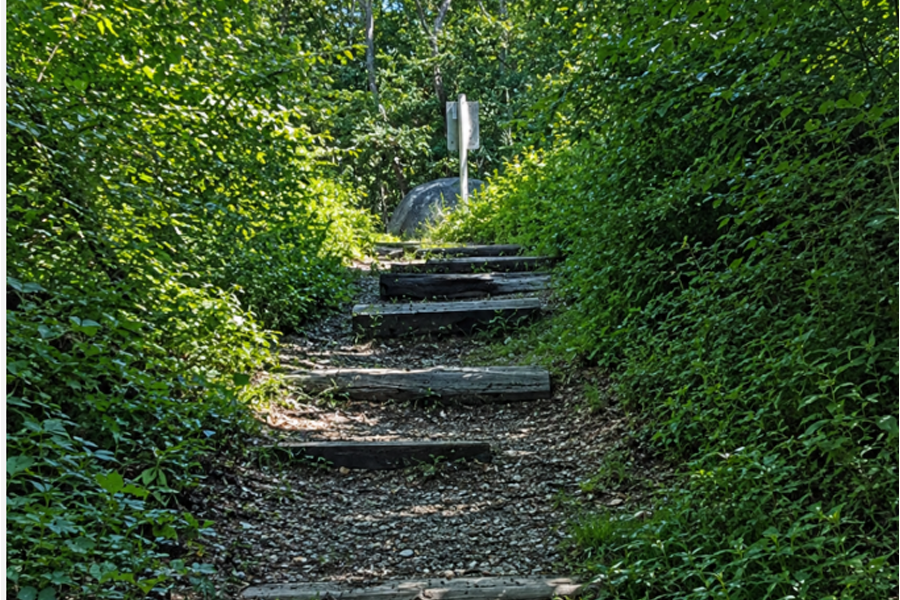A wooded trail climbs gently toward the summit of Jane's Hill in West Hills County Park, the highest natural point on Long Island at approximately 400 feet above sea level. Rustic timber steps, dense native vegetation, and a peaceful forest canopy make the short hike one of Long Island's most scenic inland walks. The summit, marked by a large glacial boulder and trail sign, offers visitors a chance to stand atop the island's highest elevation while exploring one of its most historic natural landscapes.