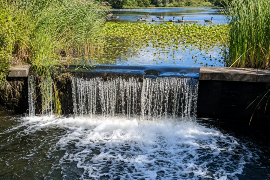 A small waterfall flows into Mill Pond in North Bellmore, creating one of the park's most scenic and peaceful views. Surrounded by wetlands, native vegetation, and abundant wildlife, Mill Pond Park is a favorite destination for walking, birdwatching, photography, and enjoying nature in the heart of Nassau County.