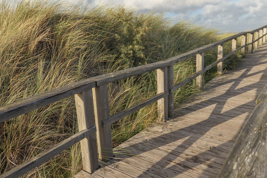 A wooden boardwalk winds through protective sand dunes toward the quiet beach at Lonelyville on Fire Island. Native beach grass lines both sides of the walkway, while the Atlantic Ocean stretches across the horizon under a partly cloudy sky.