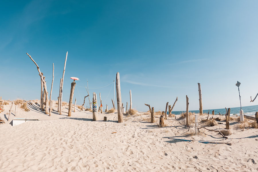 Weathered driftwood, rolling dunes, and the Atlantic shoreline highlight the peaceful coastal landscape of Atlantique, one of Fire Island's quiet residential communities known for its natural beauty and relaxed atmosphere. File photo: Alena Busik, licensed.