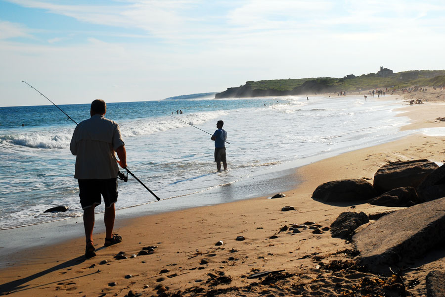 Anglers surf fish along the Atlantic shoreline in Montauk, one of Long Island's premier destinations for beach fishing. The area is especially popular during the spring and fall migrations, when striped bass, bluefish, and other game fish draw surfcasters from across New York and beyond. File photo: James Kirkikis.