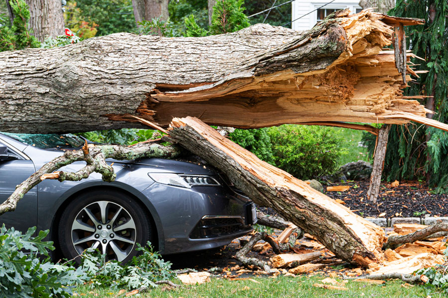 A fallen tree rests across a vehicle after a powerful storm, illustrating one of the hazards hurricanes and tropical storms can bring to Long Island. High winds, heavy rain, and saturated ground can cause trees and large branches to fall, resulting in property damage, power outages, and hazardous travel conditions. File photo: WoodysPhotos, licensed.