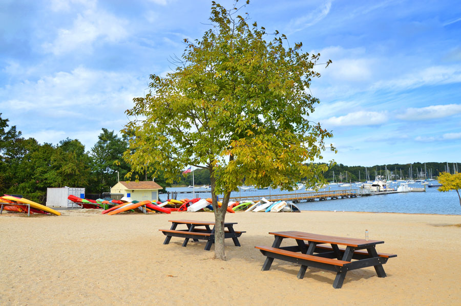 Picnic tables shaded by a tree overlook a quiet marina lined with colorful kayaks and sailboats along Long Island's scenic waterfront. Combining peaceful harbor views with easy access to the water, this inviting setting is an ideal place to relax, enjoy a picnic, or spend an afternoon exploring the outdoors.